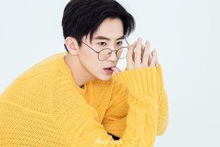 袁野最新爆料,揭秘娱乐圈惊人内幕