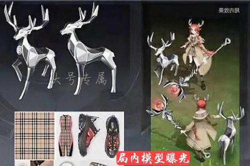 自然之灵最新爆料视频,探寻神秘力量背后的秘密