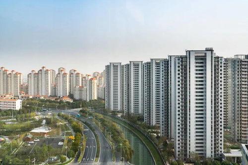 房地产郑州爆料新闻最新消息,揭秘调控政策下的市场走向