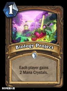 炉石传说最新版本爆料