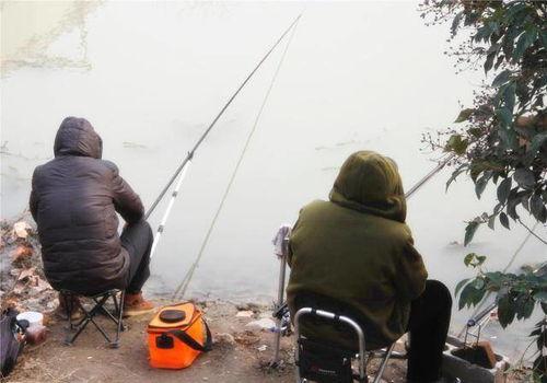 钓鱼爆料视频大全最新