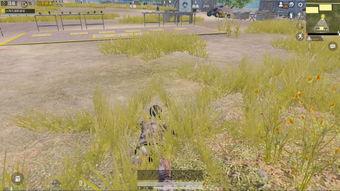 最新军需爆料10月,揭秘最新装备与战略物资更新