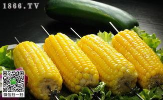 保定玉米行情最新爆料,行情波动，价格走势揭秘